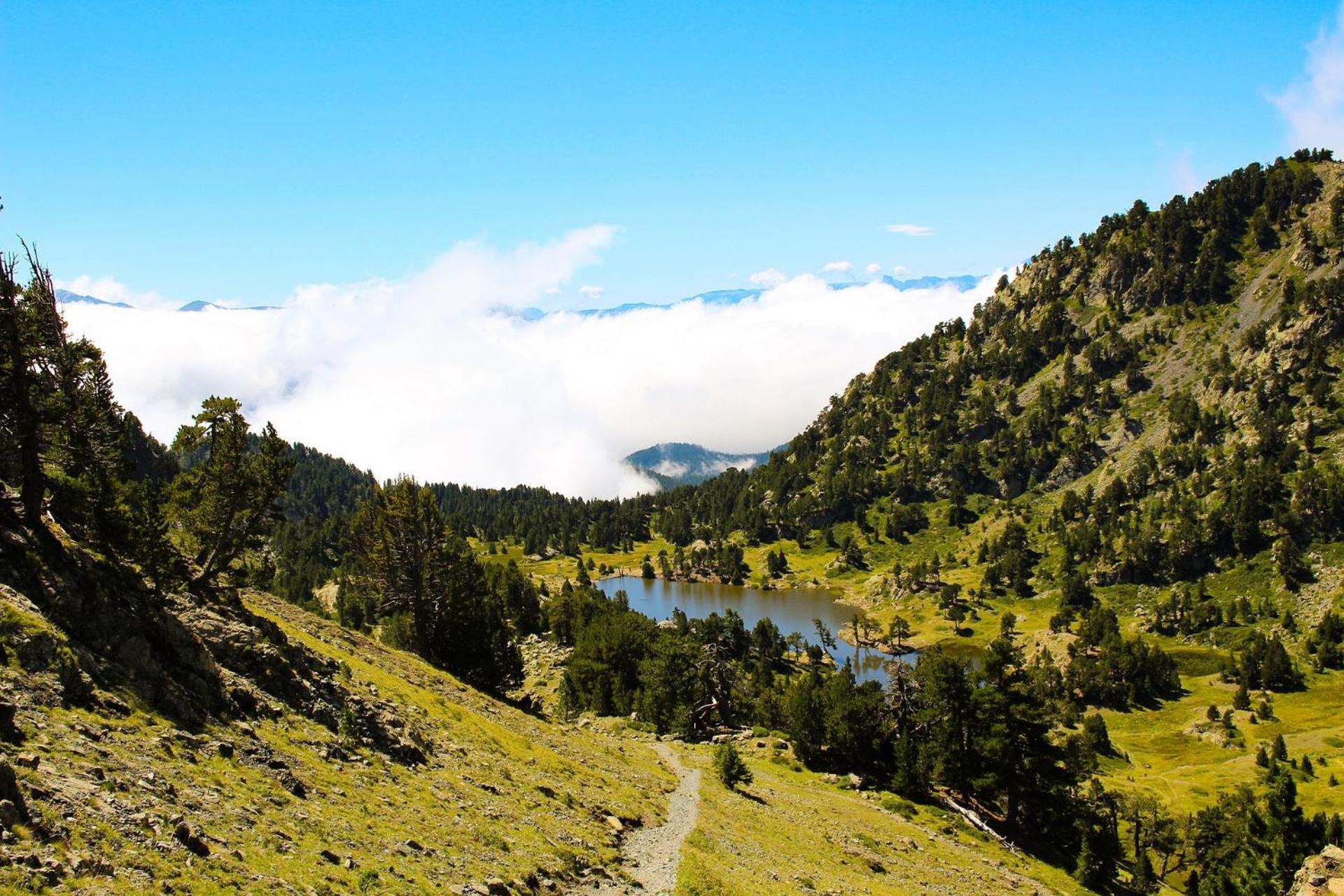 Le T2 Douillet D'Uriage - Residence Le Louvre - Cure Thermale Uriage- Proche Chamrousse - Jusqu'A 3 Personnes - Region Agreable En Toute Saison Vaulnaveys-le-Haut ภายนอก รูปภาพ